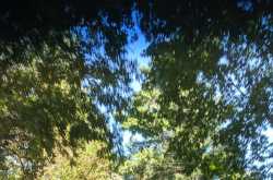 There are good days and then there are bad days….