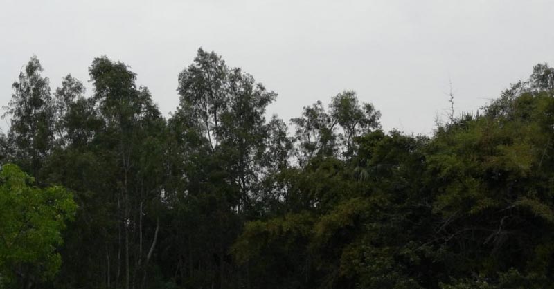 There Is A Reason, Naturally