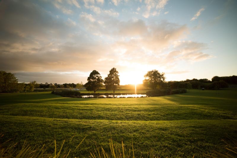 There Is More To New Zealand Wine Than Its Famous Sauvignon Blanc