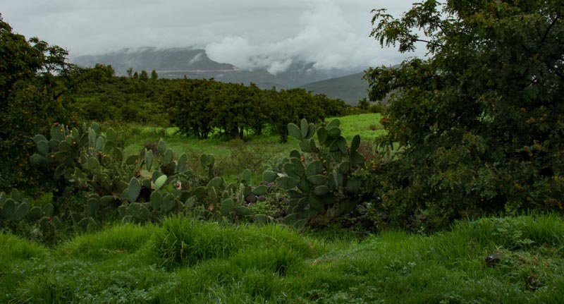 There’s More To Peru…