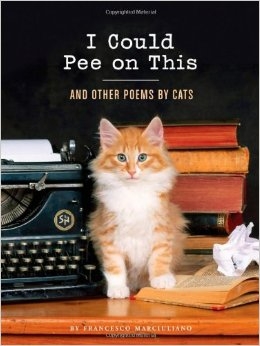 These 5 Books Can Make Cat People Felt Really, Really Entertained.