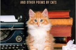 these 5 books can make cat people felt really, really entertained.