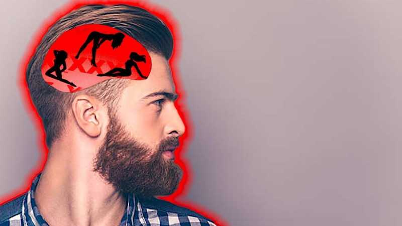 These Are The Effects Of PORN On Your BRAIN! - TherapyCable