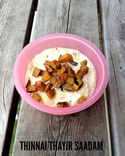 Thinai Thayir Saadam / Millet Curd Rice | Healthy Recipes