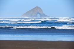 Things To Do in New Zealand North Island | Why You Wander