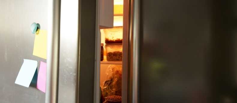 Things To Know Before Buying Haier Refrigerator