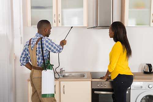 Things That Expecting Mothers Should Know About Pest Control In Their Homes
