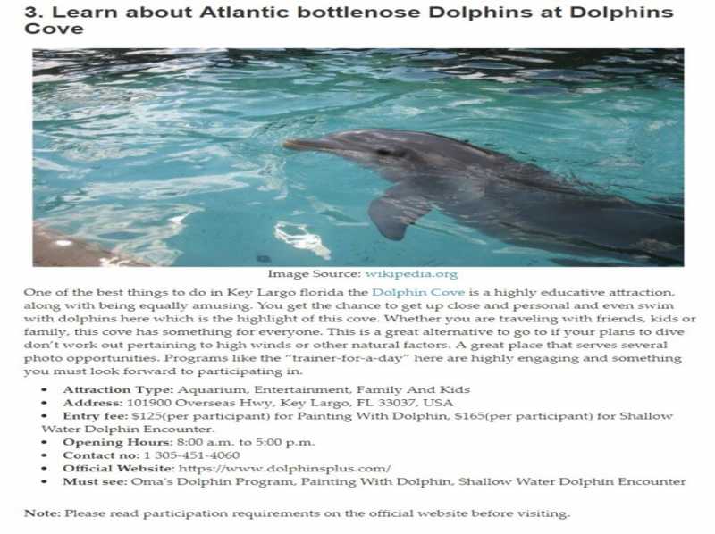 Things To Do In Key Largo For Amazing Experiences