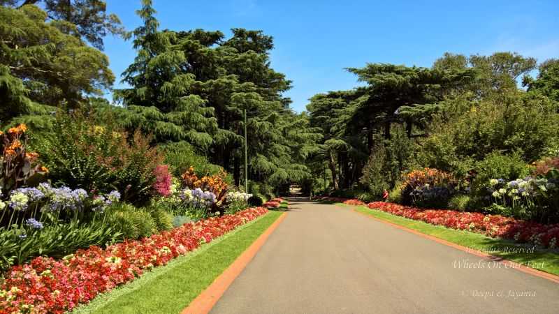 Things To Do In Melbourne (Australia) - Sight-seeing, Gardens Hopping, Strolling