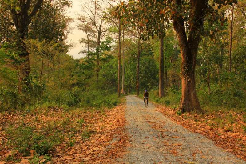 Things To Do In Siliguri In Three Days