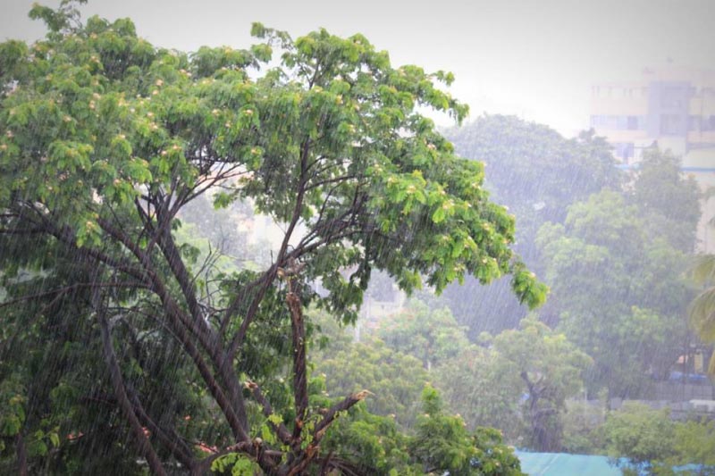 Things To Do This Monsoon- Beyond Lonavala!