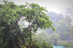 Things to do this monsoon- beyond Lonavala!