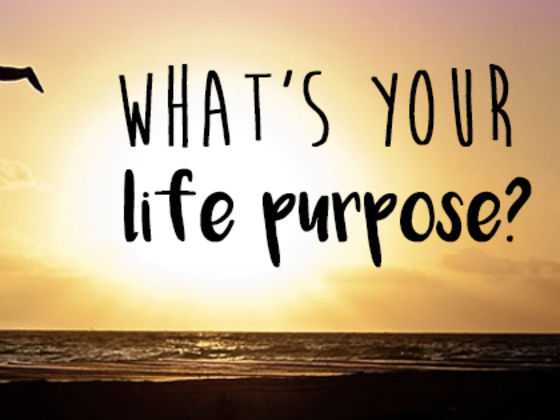 Thinking About Purpose