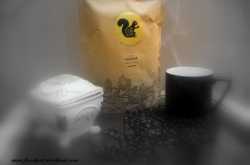 Third wave of coffee in Bangalore - The Flying Squirrel