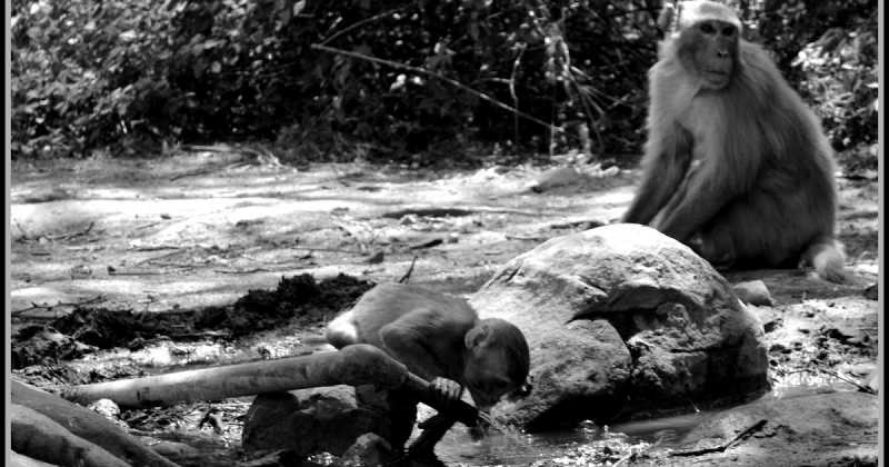 Thirsty Summer Of Delhi…