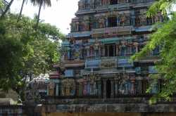 Thiruvaalam pozhil, Athmanaadeswarar Temple,   Tanjavoore Dt.