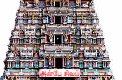 Thiruvanmayur Photo walk experience