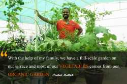 This IITian grows his own food through Organic Terrace Garden Farming.