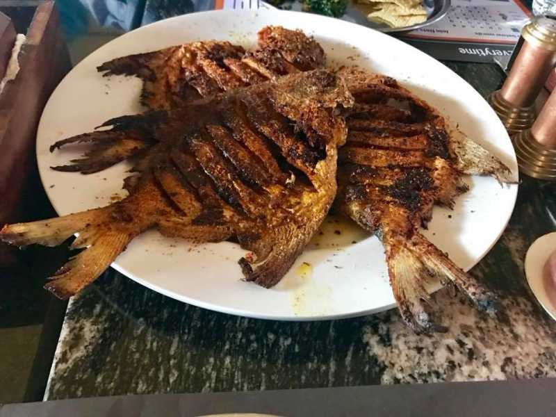 This Is Fishy…..Literally