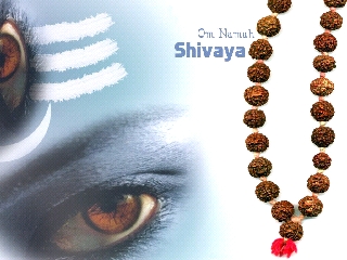 This Shivarathri, Discover “Shiv” & “Vish” - The True Guiding Forces Of LIFE Within Yourself…