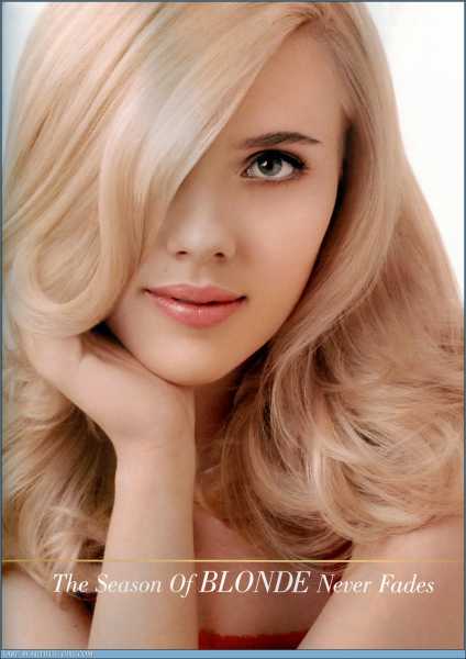 This Domain Name CO.CC Is For Sale.