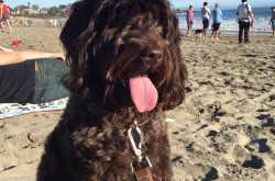 this is how you plan smashing birthday party for your wife 