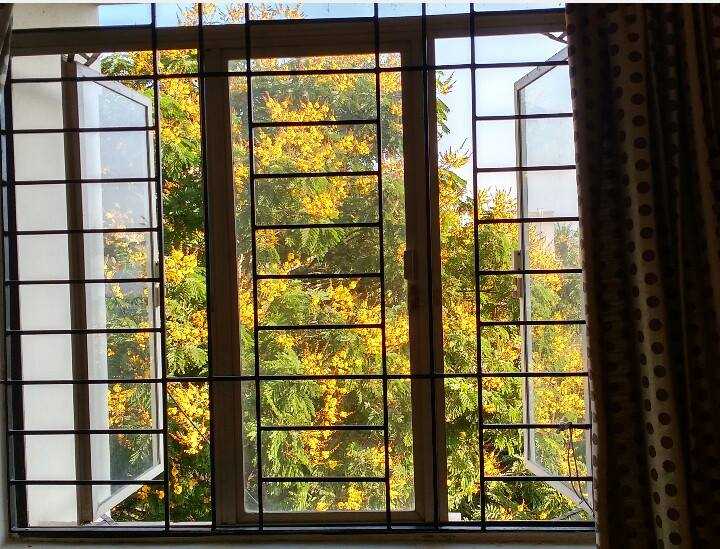 This Is It --- Musings, As We Embark On Another Trip Around The Sun.