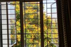 This is it --- Musings, as we embark on another trip around the sun.