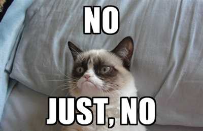 Thou Shalt Never Say No To Me