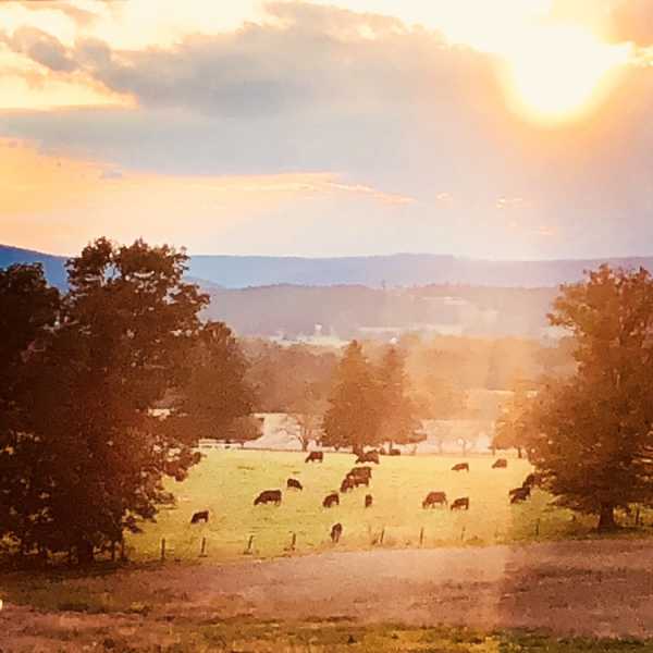 Thou Shalt Not Compare On Facebook