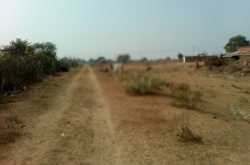 thoughts and reflections after a year in india.....