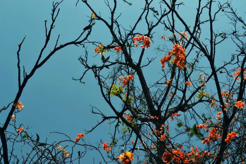 Thoughts From Idle Workstation...