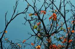 Thoughts from idle workstation...