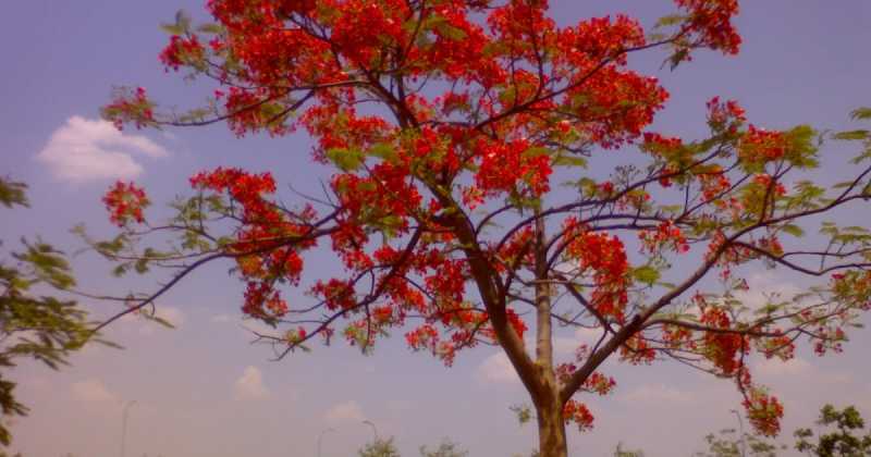 Three Bluesmen Who Shaped Rock And Rhythm N Blues