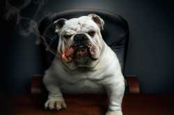 Three Ways to Be the Boss of Your Social Media