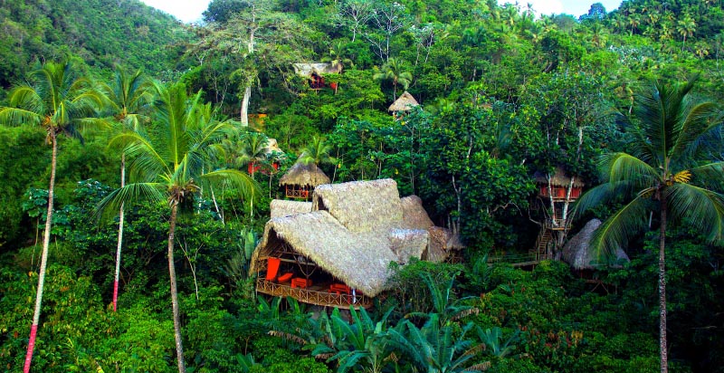 Thrilling Tree House Stay In The Tropical Rain Forest Of The Dominican Republic - Travel Diary