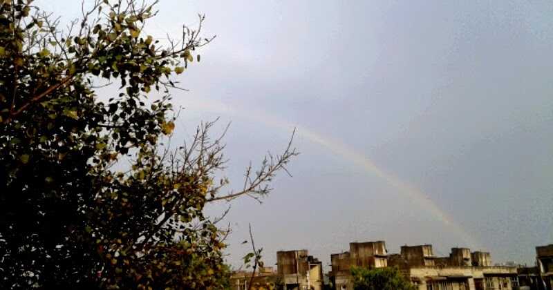 Through The Mind Of A Rain Lover!