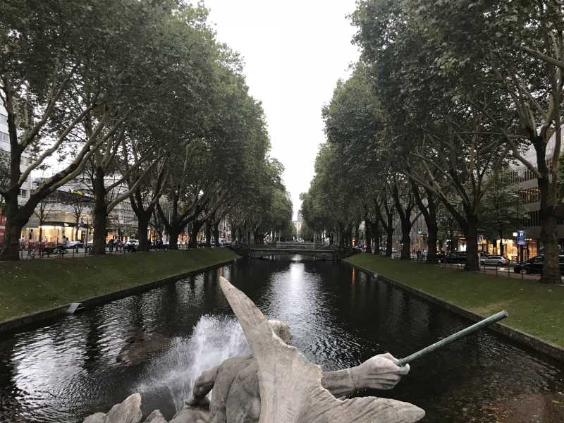 Thursday Tree Love - Greenery At The Königsallee | Transition Of Thoughts