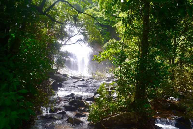 Thusharagiri Falls