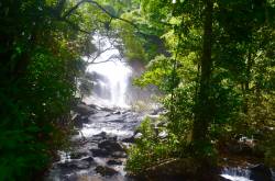 Thusharagiri falls