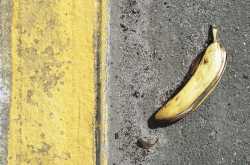 Tiffin Box: The untold story of food that was never questioned yet got binned daily