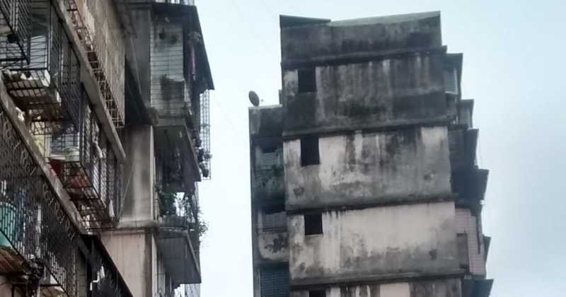 Tiger Conservation - Urbanization The Deadly Menace