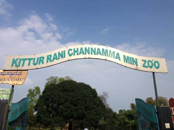 Tiger Safari In 6-9 Months At Bhutramanhatti Zoo - All About Belgaum