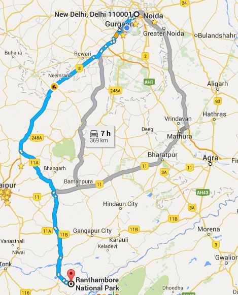 Tiger Sighting At Ranthambore