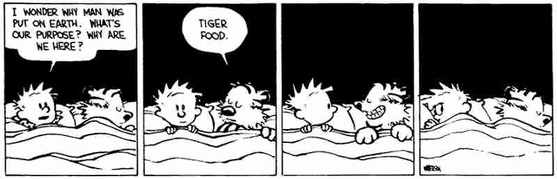 Tiger Tiger Burning Bright