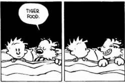 Tiger Tiger Burning Bright