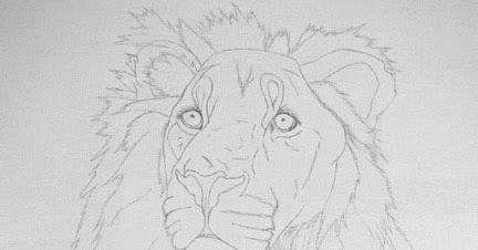 Time To Change The Views - Support Wildlife Art