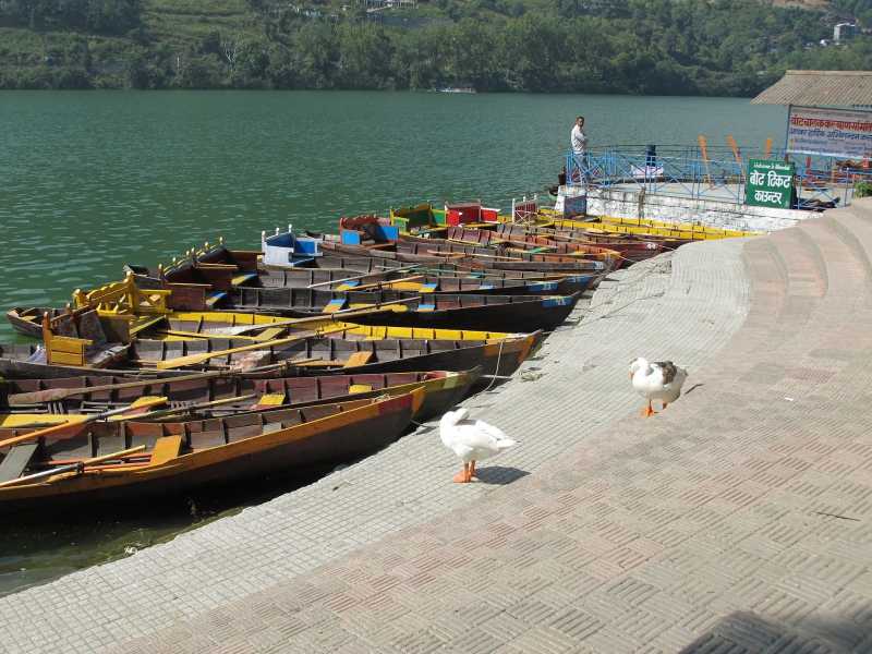 Time To Stop And Stare