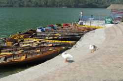 Time to stop and stare