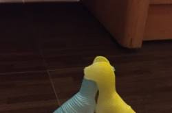 Tiny bit from my Teens